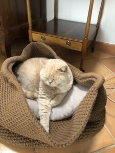 70534706630 60f98a6e f37a 4e81 80d3 cc50e8e56e03