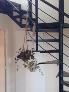 c34f41cc 8b39 4c55 a726 f56696fad325